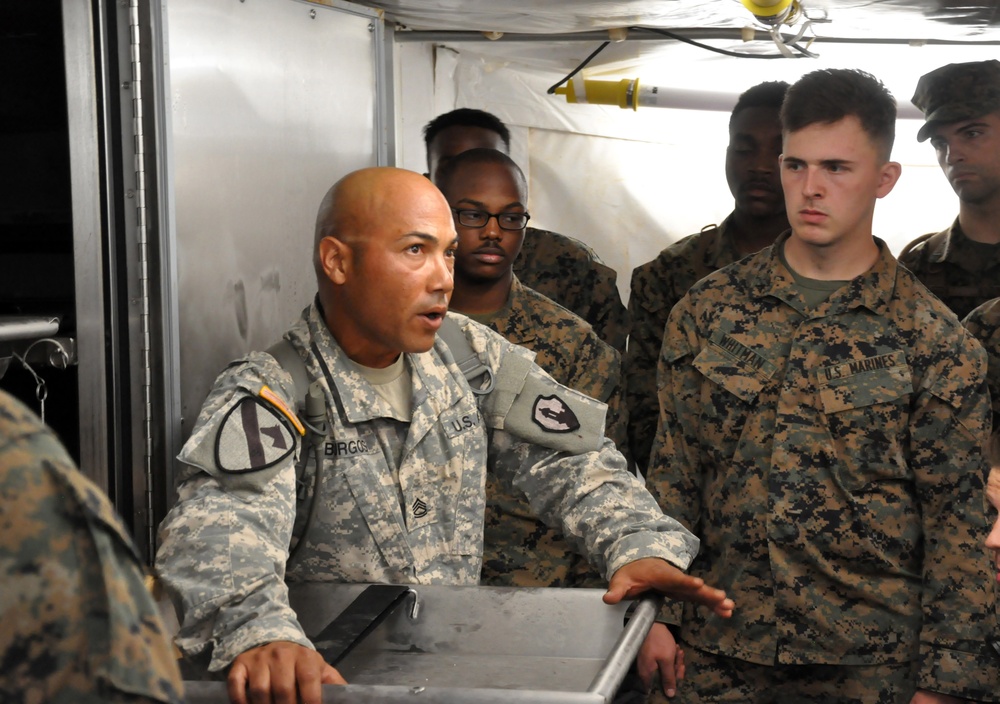 Army Reserve participates in Joint Mortuary Affairs Exercise