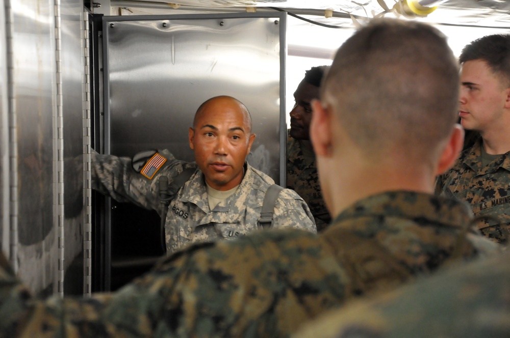 Army Reserve participates in Joint Mortuary Affairs Exercise