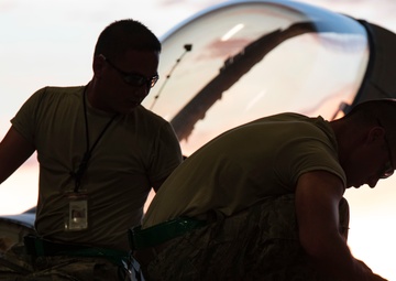 Theatre Security Package (TSP)