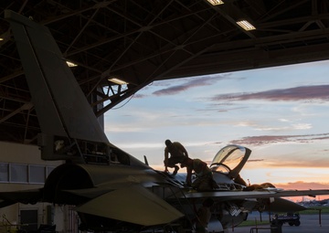 Theatre Security Package (TSP)