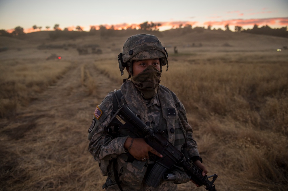 Military Police train in the field