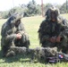 Fuerzas Comando 2017