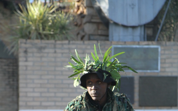 Fuerzas Comando 2017