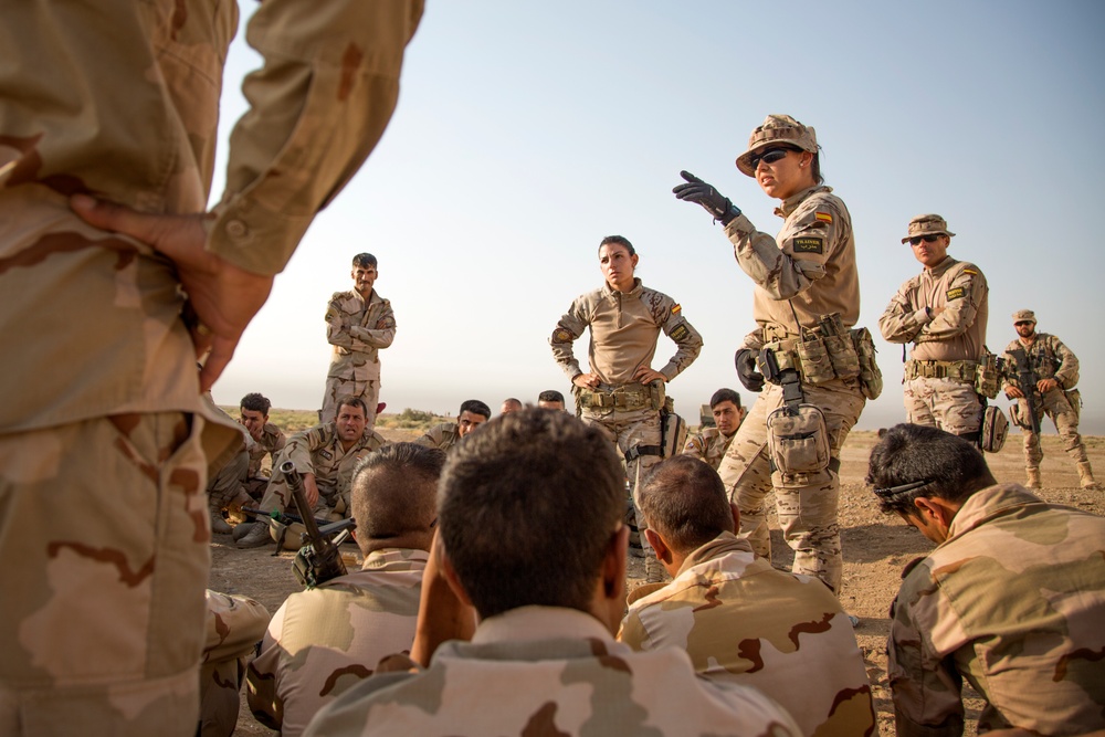 ISF reflexive fire training