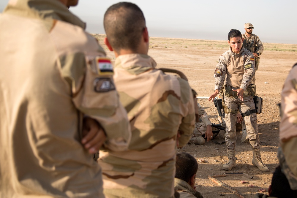 ISF reflexive fire training