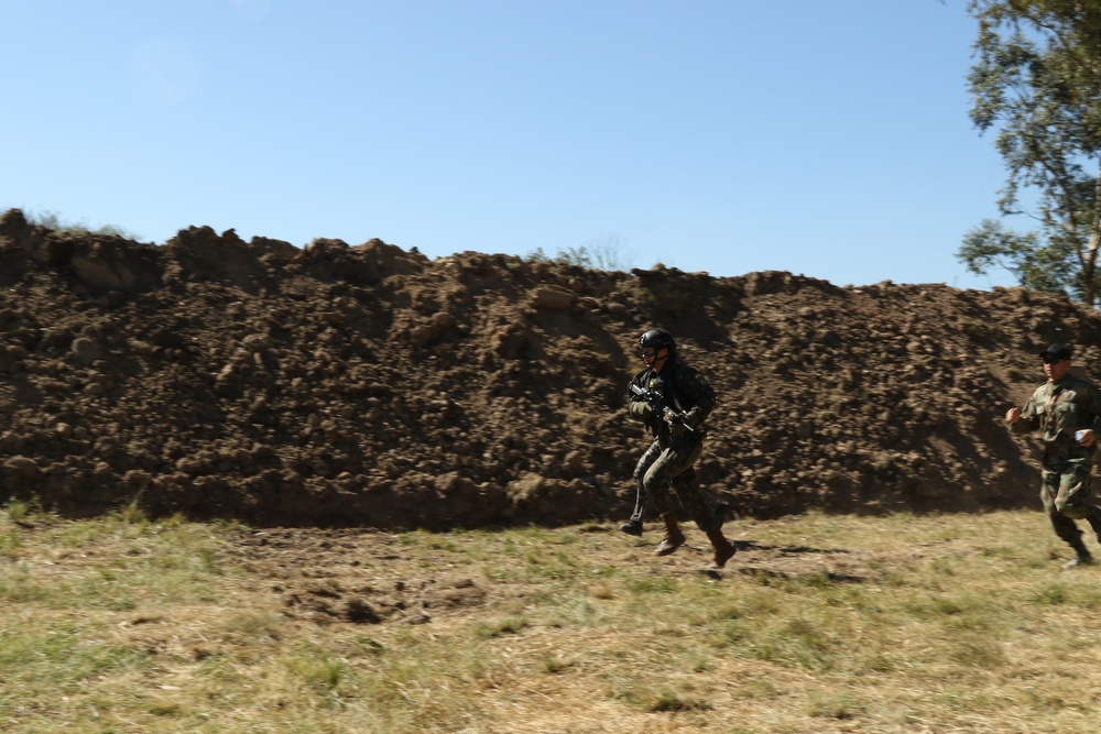 Fuerzas Comando 2017