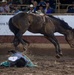 Air Force Space Night at the Rodeo