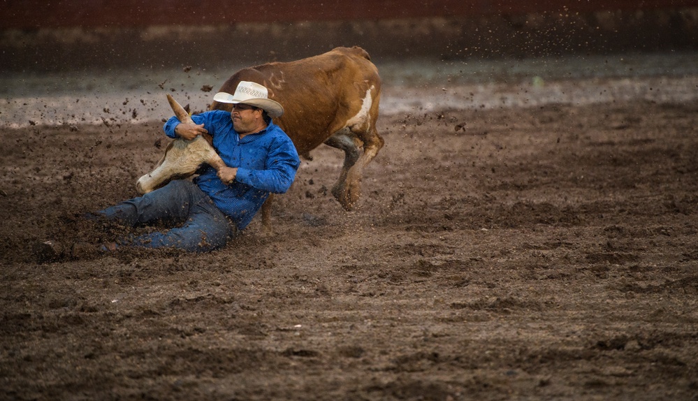Air Force Space Night at the Rodeo