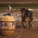Air Force Space Night at the Rodeo