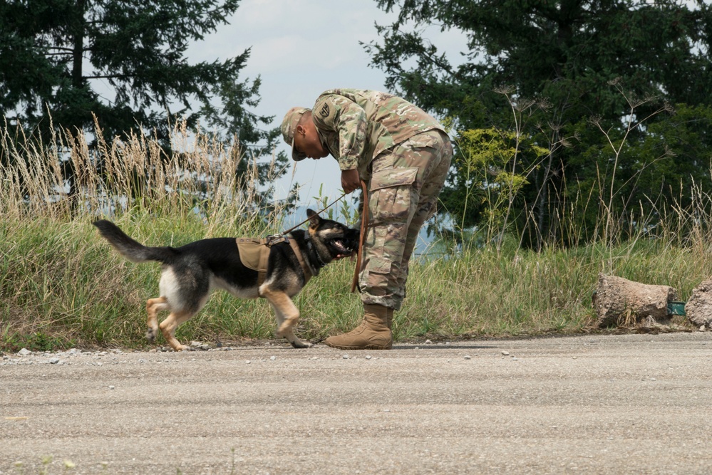 Day 1 Military Working Dog Certification