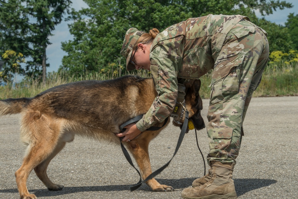 Day 1 Military Working Dog Certification