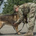 Day 1 Military Working Dog Certification