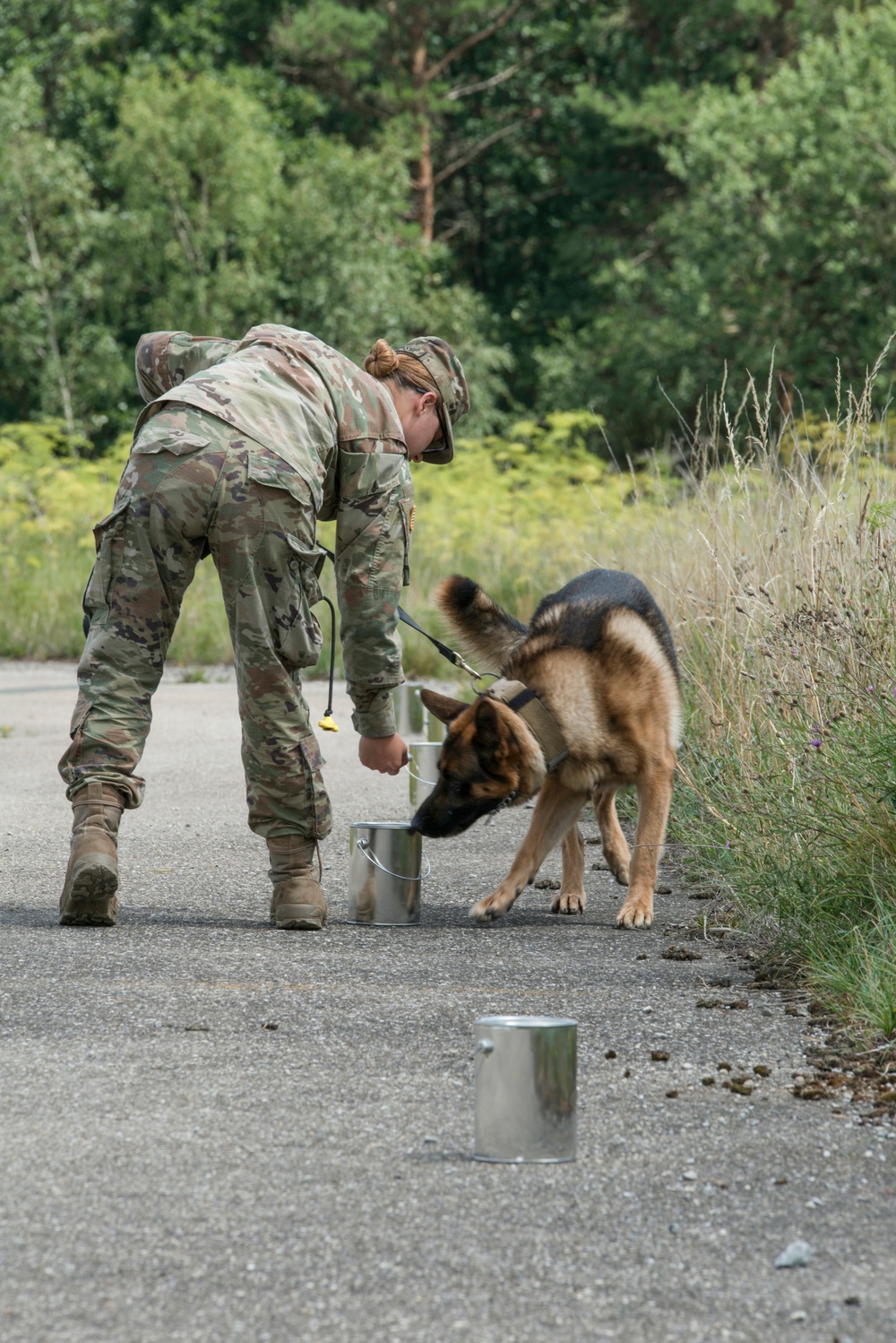 Day 1 Military Working Dog Certification