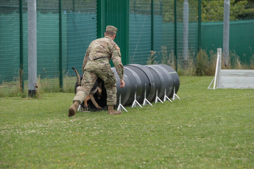 Day 1 Military Working Dog Certification