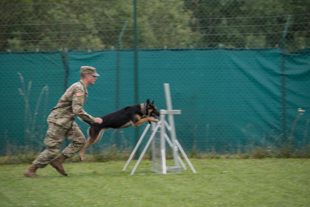 Day 1 Military Working Dog Certification