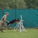 Day 1 Military Working Dog Certification