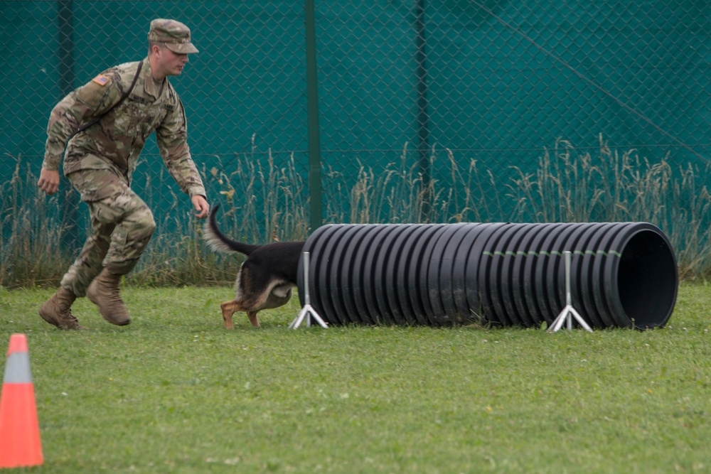 Day 1 Military Working Dog Certification