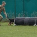 Day 1 Military Working Dog Certification