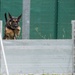 Day 1 Military Working Dog Certification