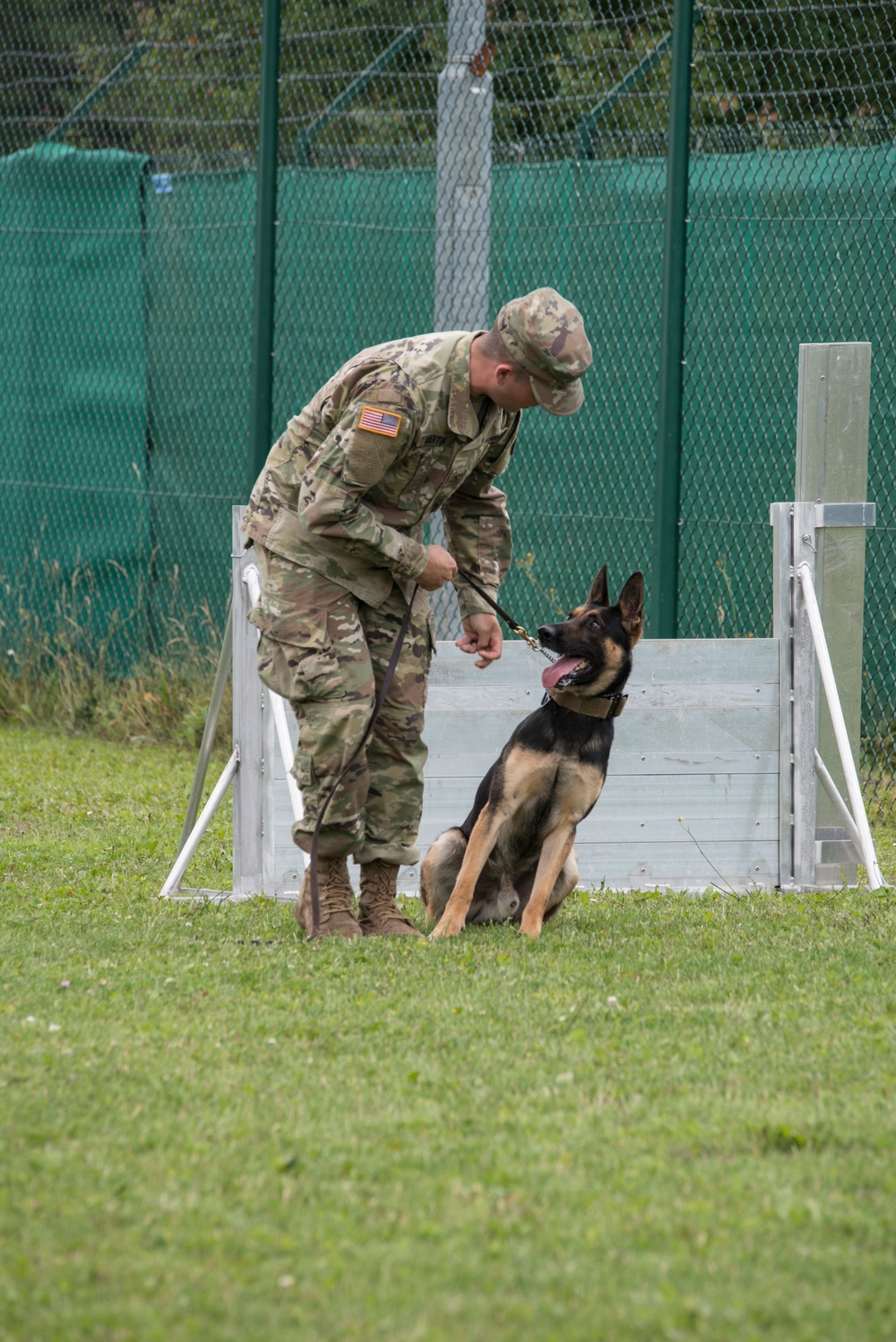 Day 1 Military Working Dog Certification