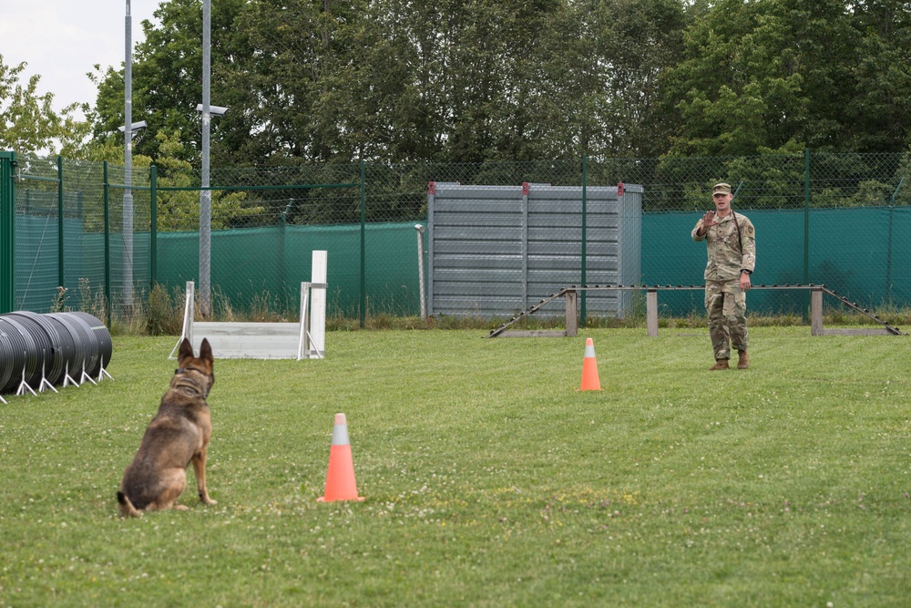 Day 1 Military Working Dog Certification