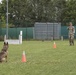 Day 1 Military Working Dog Certification