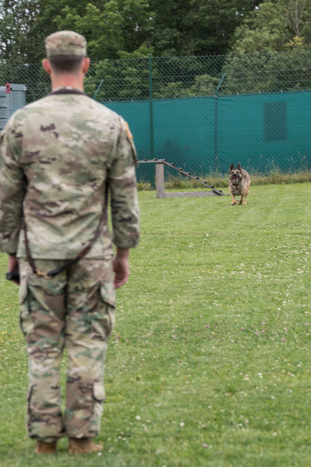 Day 1 Military Working Dog Certification