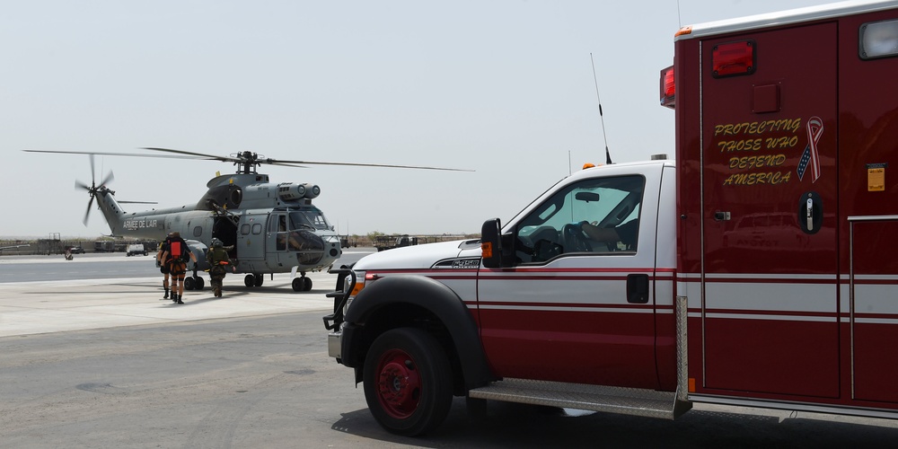 French MEDEVAC Exercise