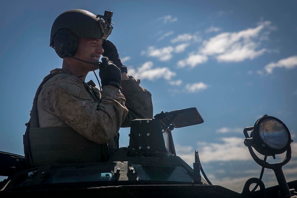 Assault Amphibious Vehicle Platoon refines water recovery skills during Talisman Saber 17