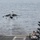 USS America conducts flight operations