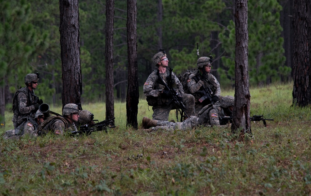 76th IBCT at JRTC's Peason Ridge