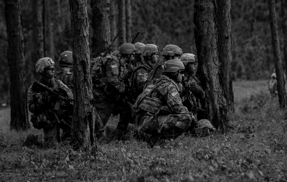 76th IBCT at JRTC's Peason Ridge