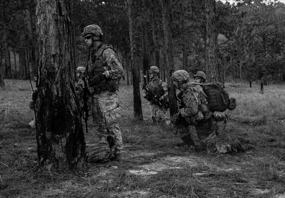 76th IBCT at JRTC's Peason Ridge