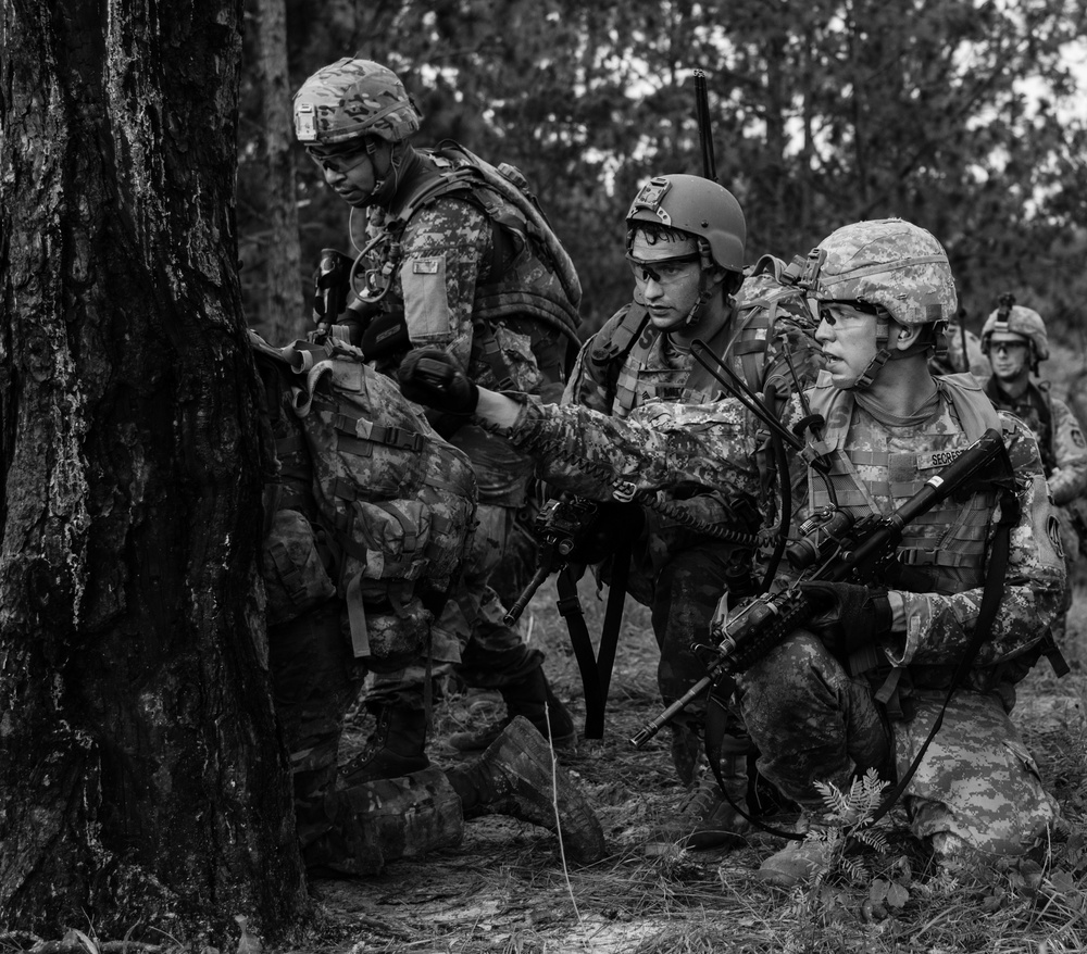 76th IBCT at JRTC's Peason Ridge