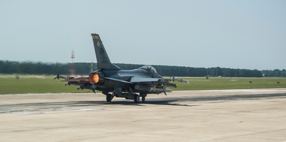 Aerial F-16 Fighting Falcon Flagship Flight