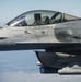 Aerial F-16 Fighting Falcon Flagship Flight