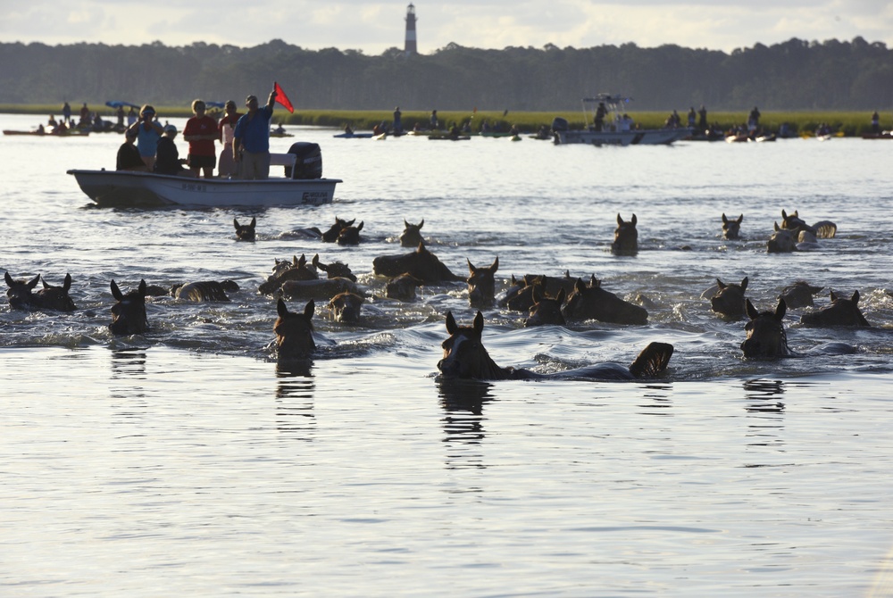 Coast Guard enforces safety zone for 92nd Annual Pony Swim on Chincoteague Island, VA