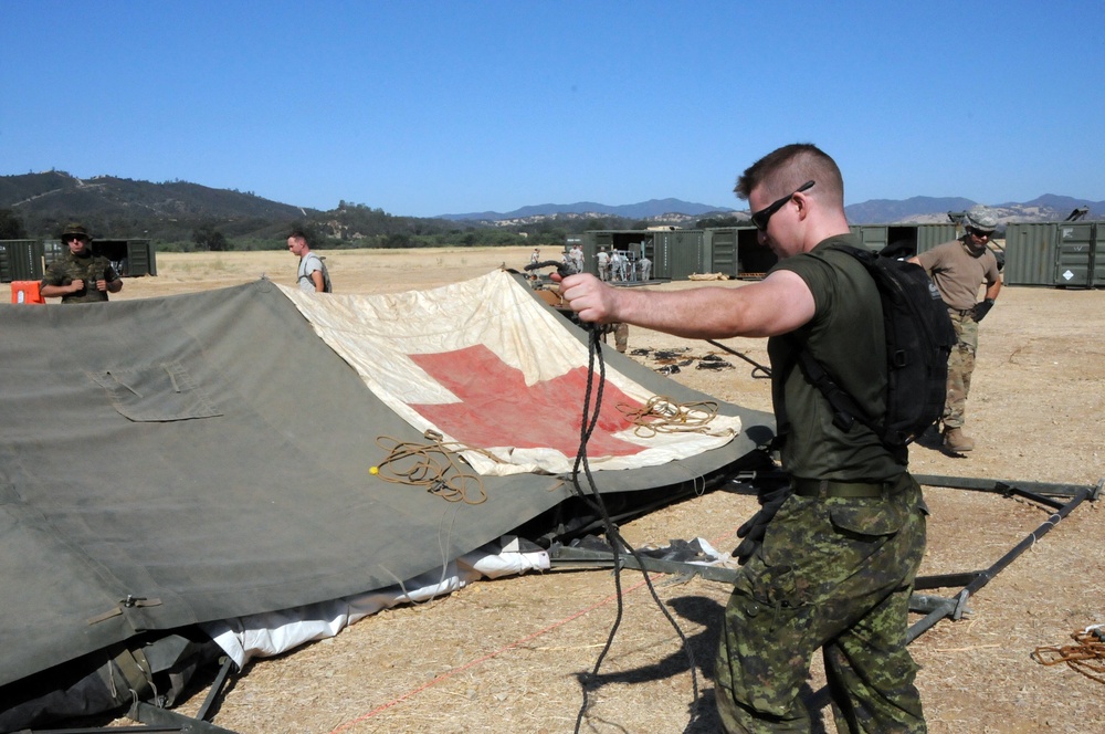 Joint training exercise ensures combat readiness for military medics