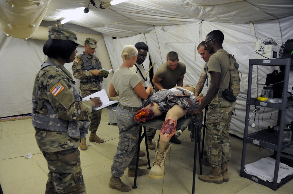 Joint training exercise ensures combat readiness for military medics