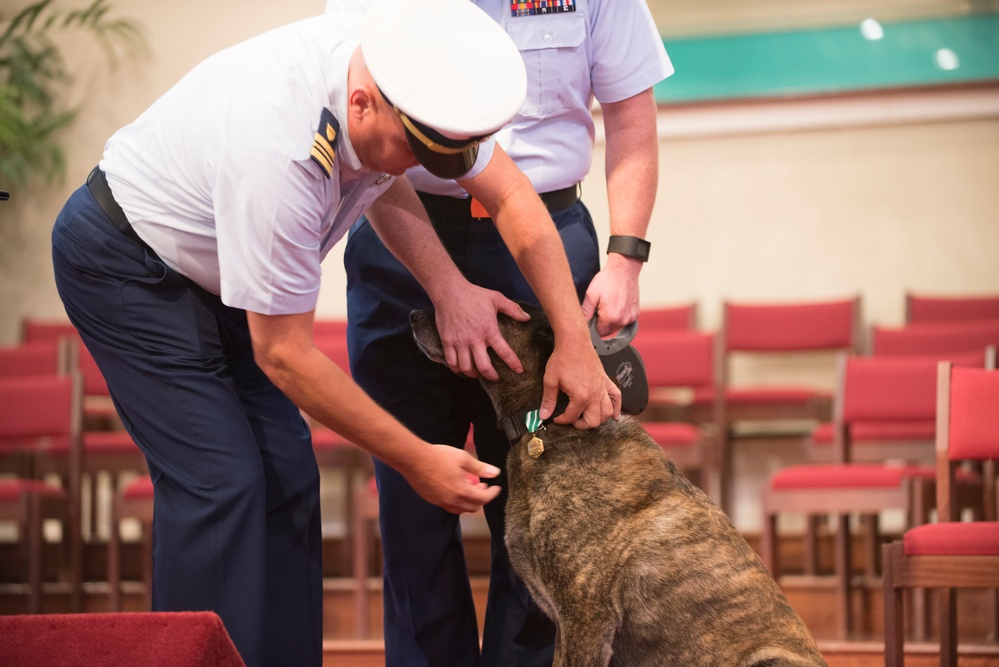 Maritime Safety and Security Team Kings Bay canine retirement ceremony