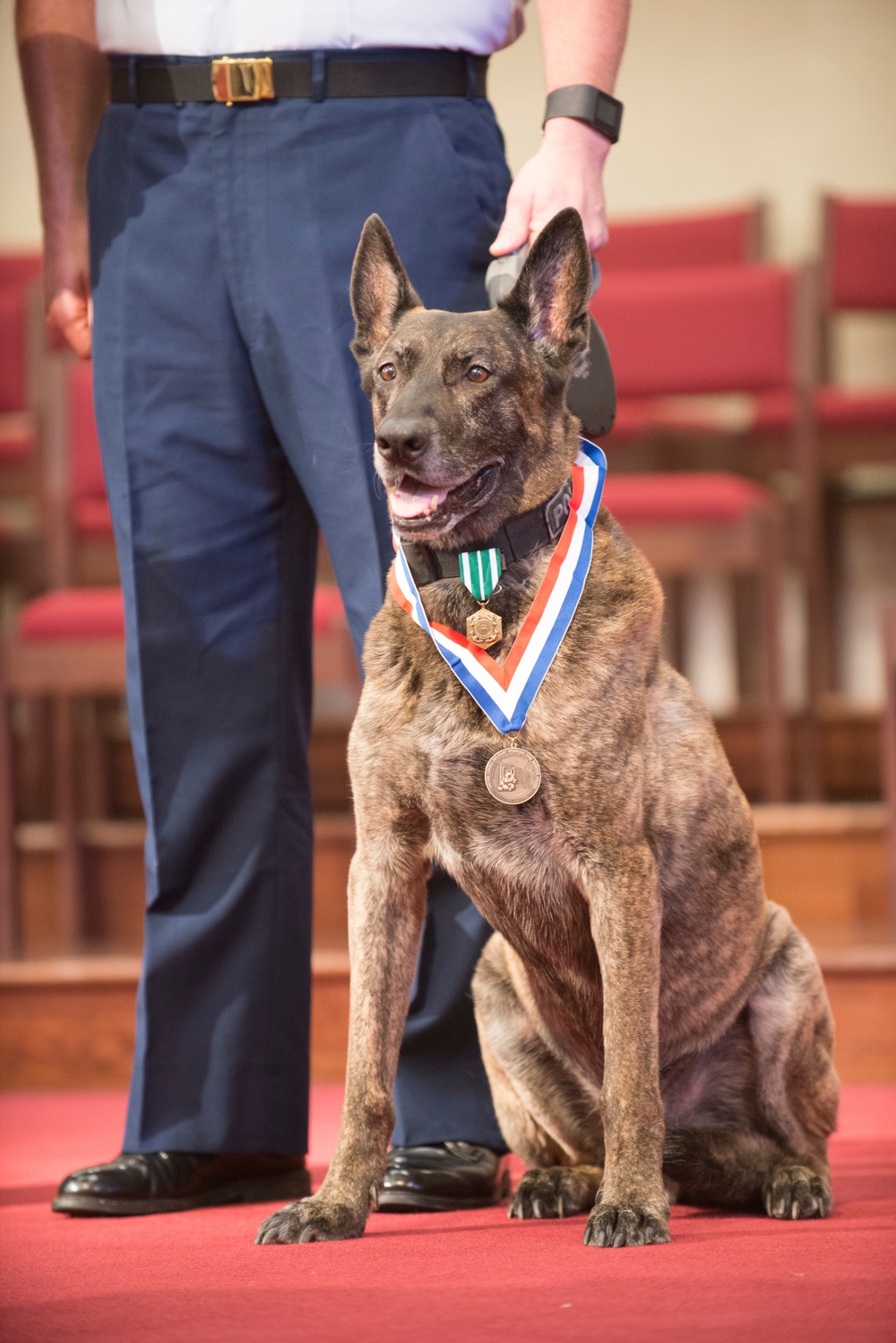 Maritime Safety and Security Team Kings Bay canine retirement ceremony
