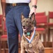 Maritime Safety and Security Team Kings Bay canine retirement ceremony