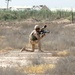 Iraqi army soldiers conduct squad movements