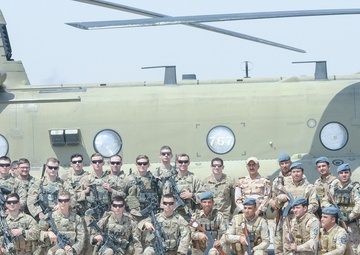 Joint training