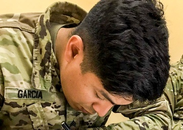 Lines from Lines builds a picture for Battle Group Poland