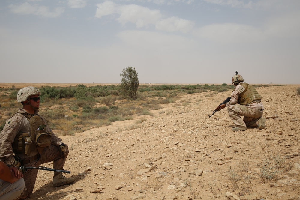 Ousting ISIS from Al Anbar: The Advise and Assist mission of Task Force Al Asad