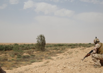 Ousting ISIS from Al Anbar: The Advise and Assist mission of Task Force Al Asad