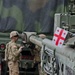 Georgians welcome Strykers for Noble Partner