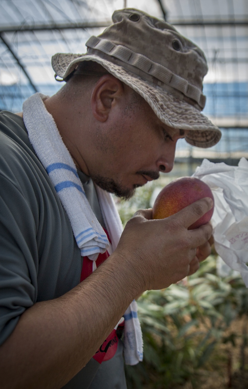 Mango Mike: Marine veteran plants roots in Okinawa