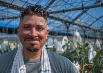 Mango Mike: Marine veteran plants roots in Okinawa